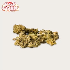 Pop Corn Pink Kush > Xuxes